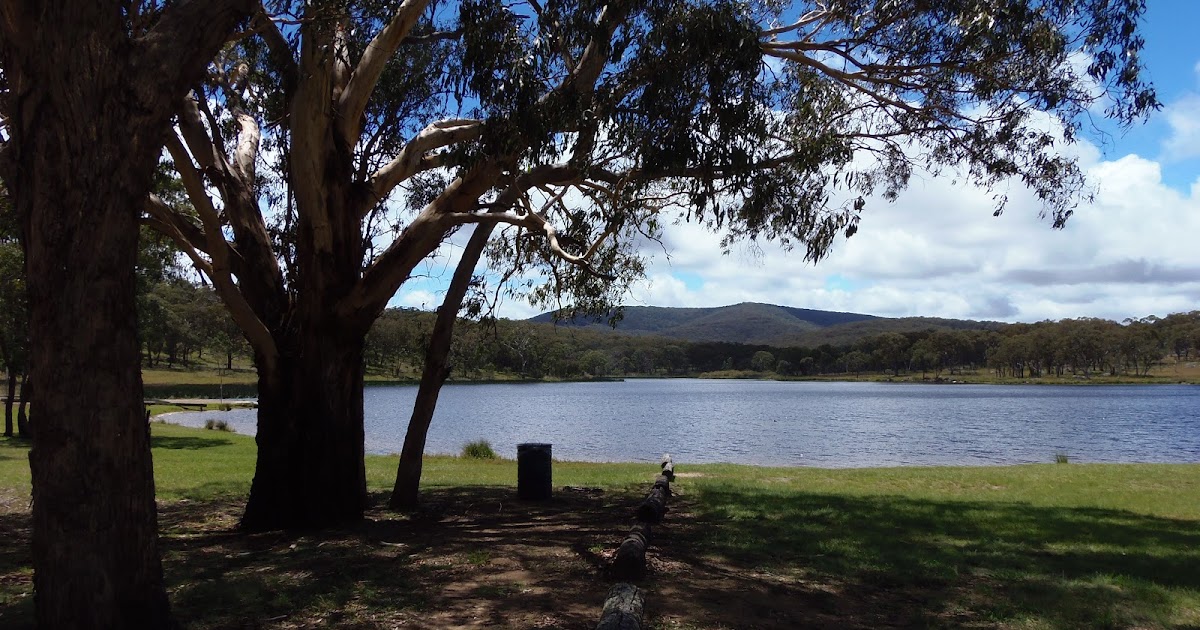 Solo Steve On The Road ARMIDALE NSW AND DUMARESQ DAM