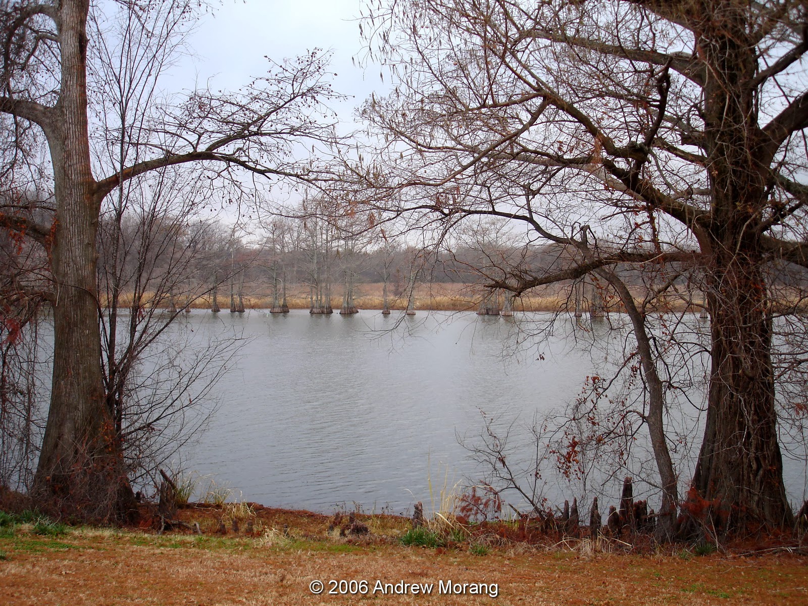 Urban Decay Country Store Still in Business Roy's Store, Chatham