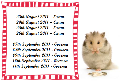 26th August 2011 – Update