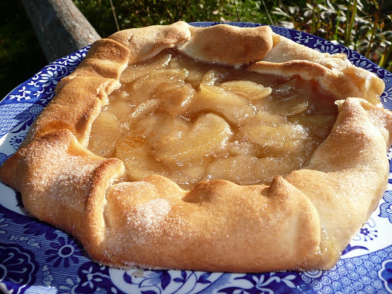 Everyday Dutch Oven Apple Pie Rustica