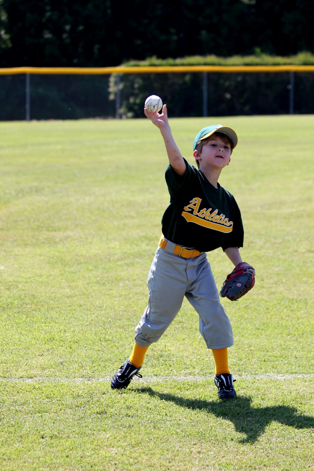 The Segrests Baseball 2011 (Coach Pitch)