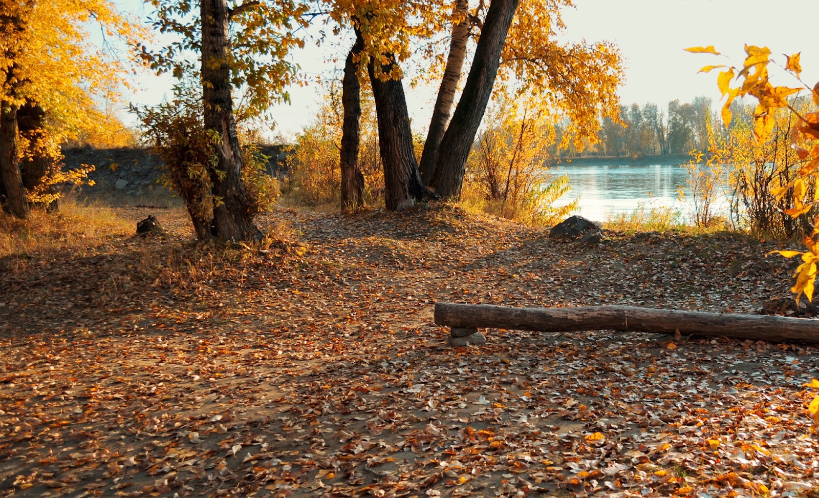 define autumn define autumn