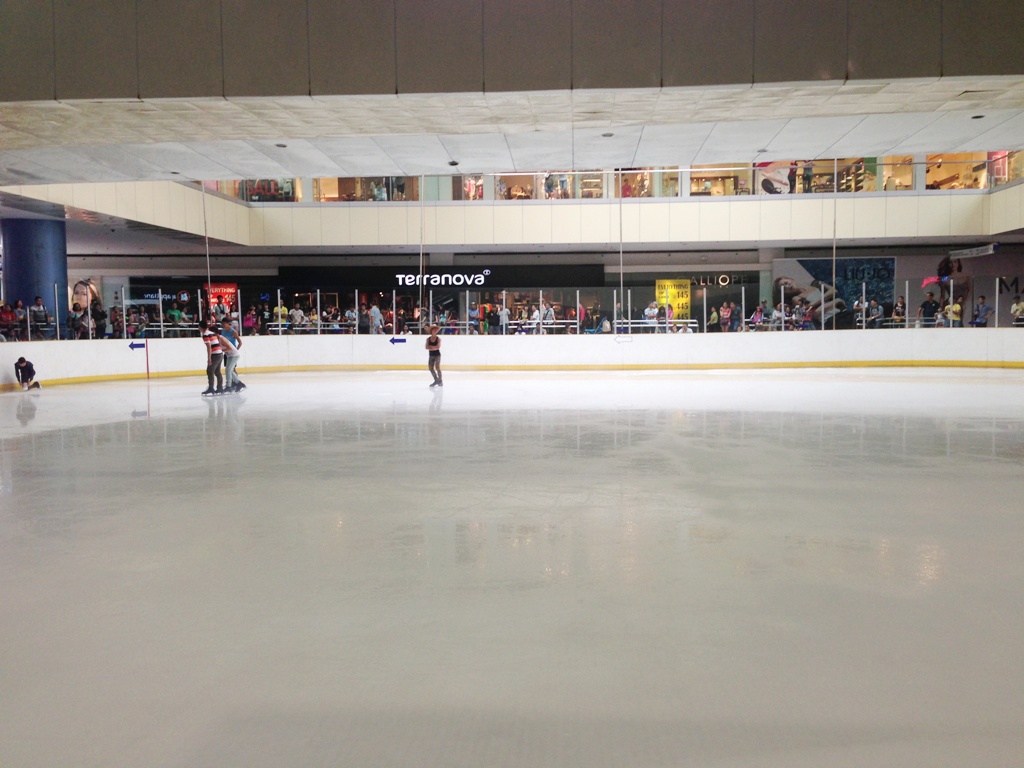 MOA Ice Skating with the Gang! — Anagon