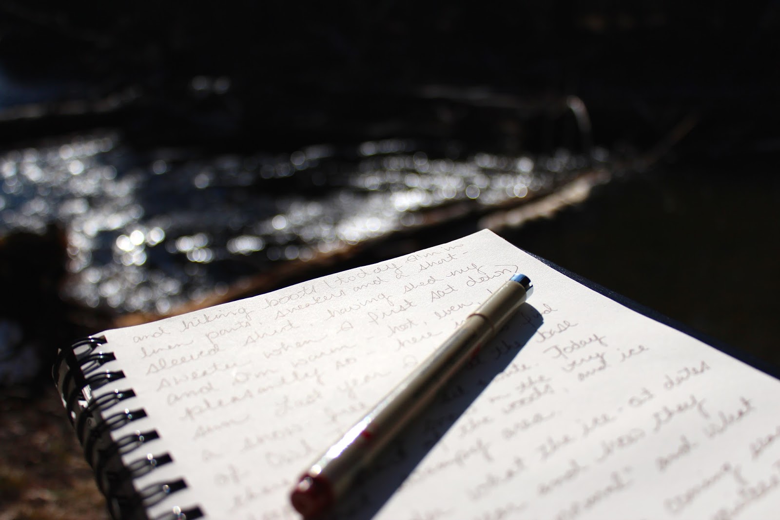 Remains of the Day Nature Writing and Journaling