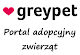 Portal adopcyjny greypet.pl