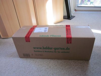 Ela S Testgalaxie Baldur Garten