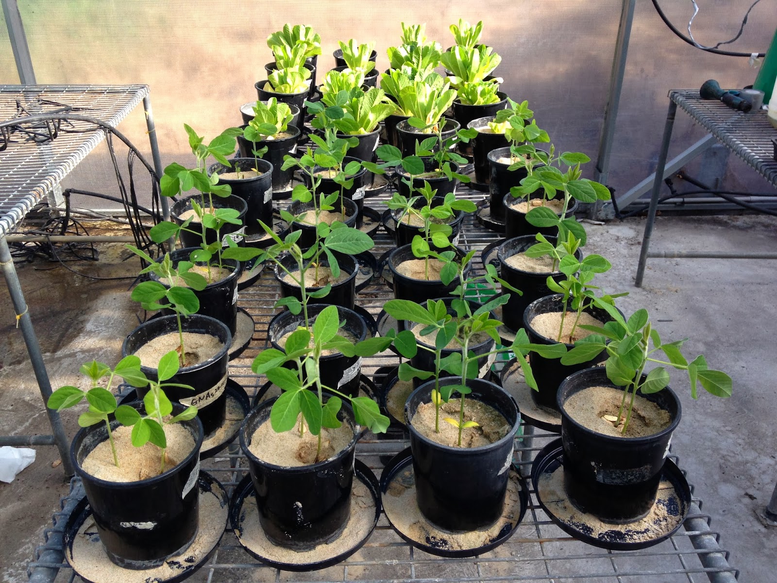 leachate. Worth it? September 2013