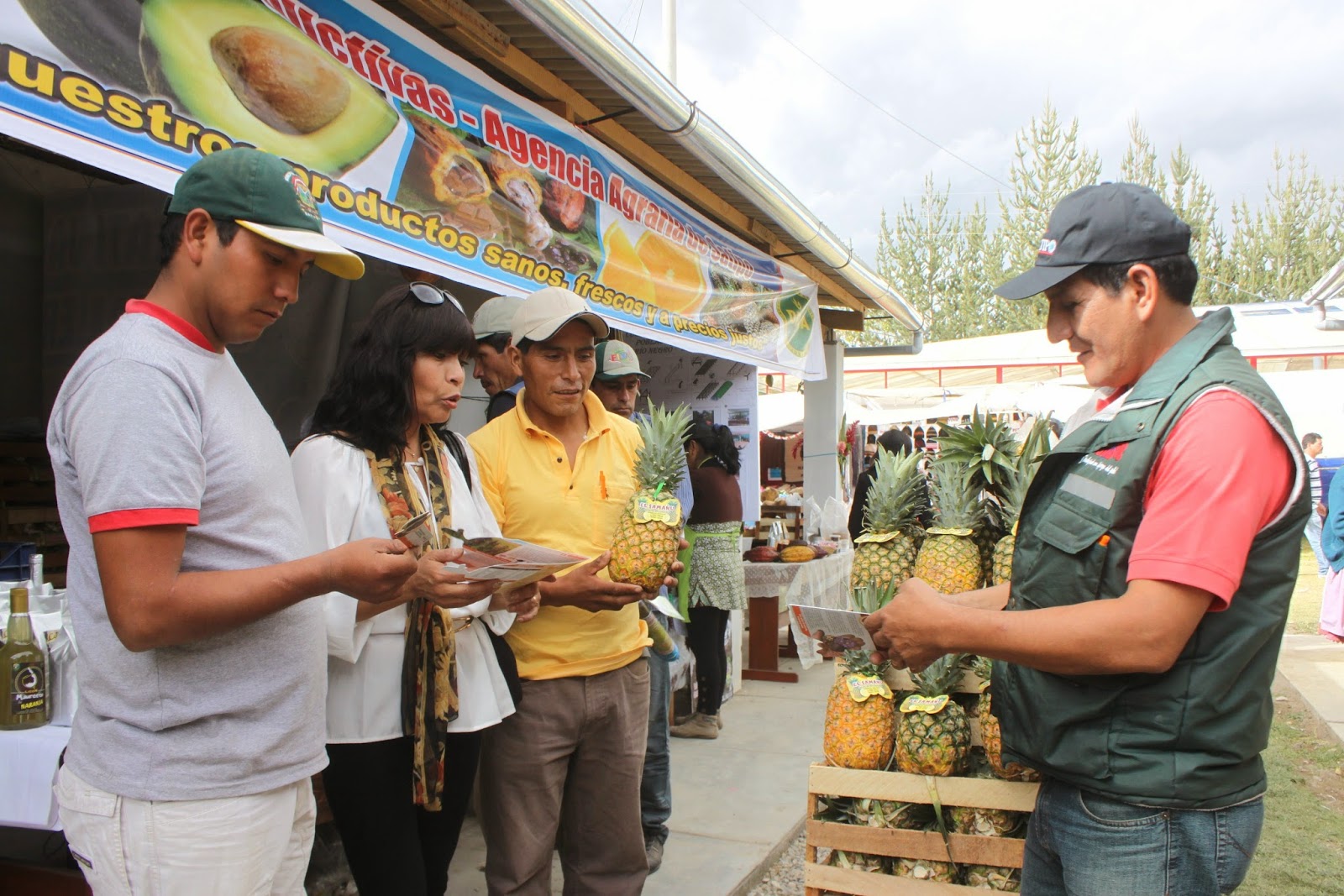 cadenas productivas de la region junin agro jun 205 n productores de las cadenas productivas de la cadenas productivas de la region junin agro jun 205 n productores de las cadenas productivas de la