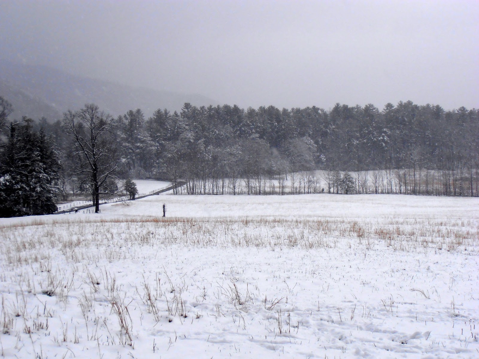 American Travel Journal Snow in Cades Cove Great Smoky Mountains
