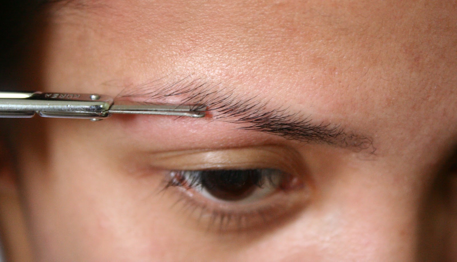 christhingsss Tutorial Eyebrow Grooming Part 1