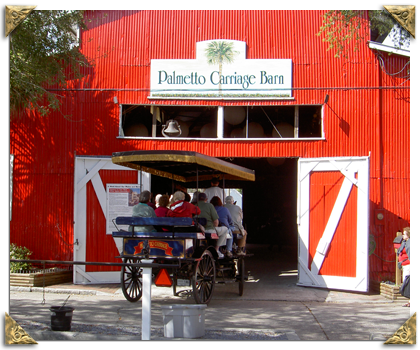 palmetto carriage tours charleston
