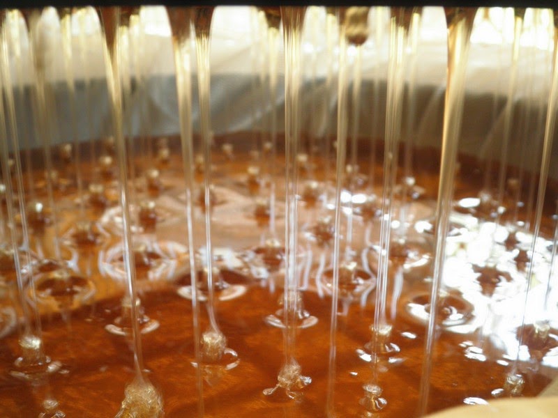 Beekeeping - How we started 22 Beekeeping - How we started