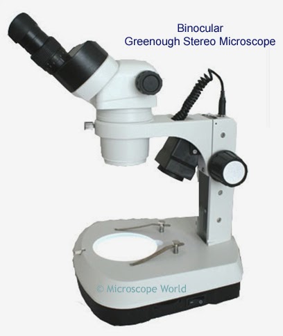 Stereo Microscope image
