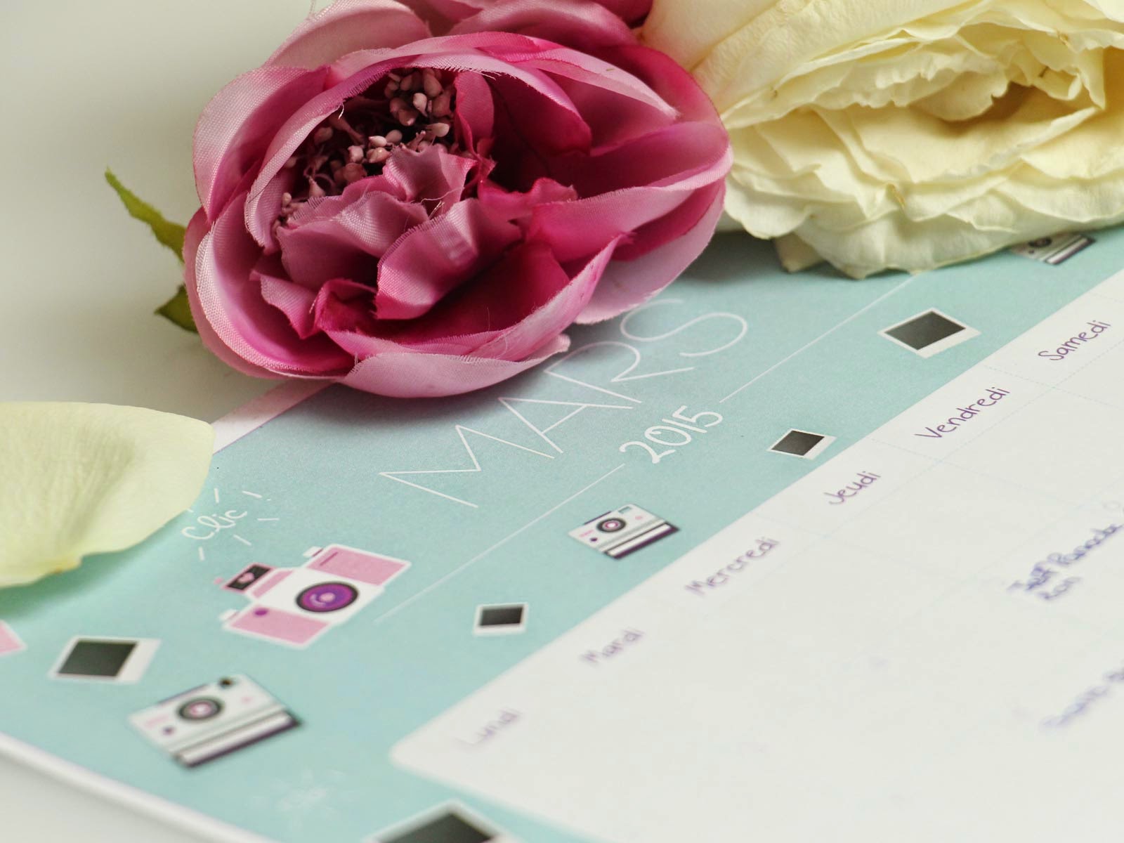 calendrier mars 2015