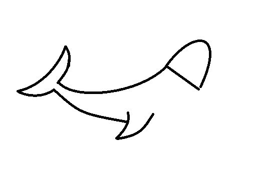 PENIS   SHAPE  FISH