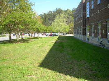 Central Library -side view