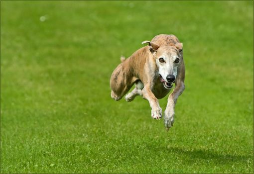 Gesundheit &amp; Kosmetik Mit Bewegung den Hämorrhoiden den Kampf ansagen!