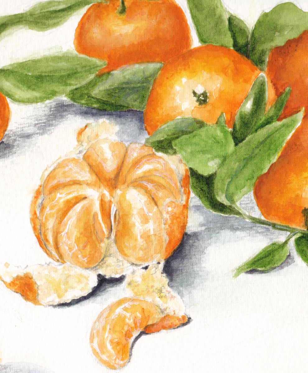 drawings of oranges