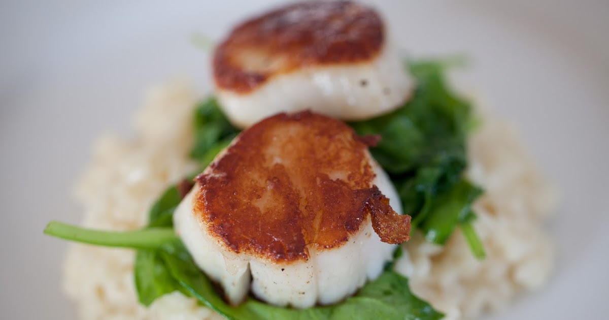 Scallops and risotto — johns journal