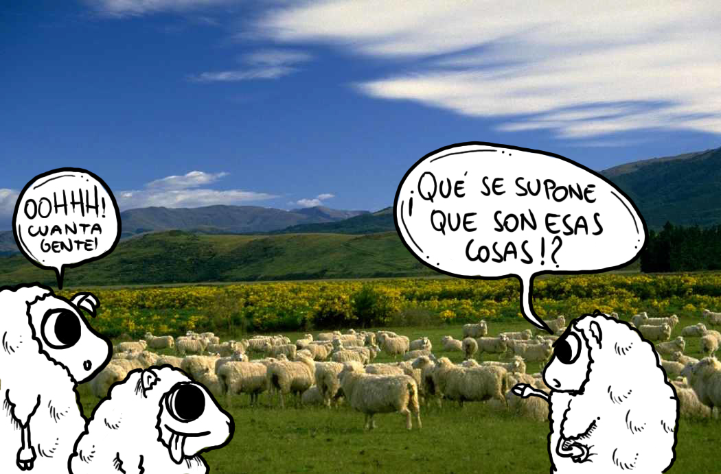 Imagen