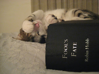 fools fate