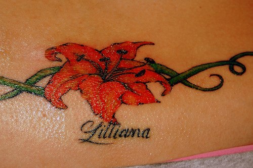quot;TIGER LILYquot; FREE DESIGNS tiger lily flower meaning. quot;TIGER LILYquot; FREE DESIGNS