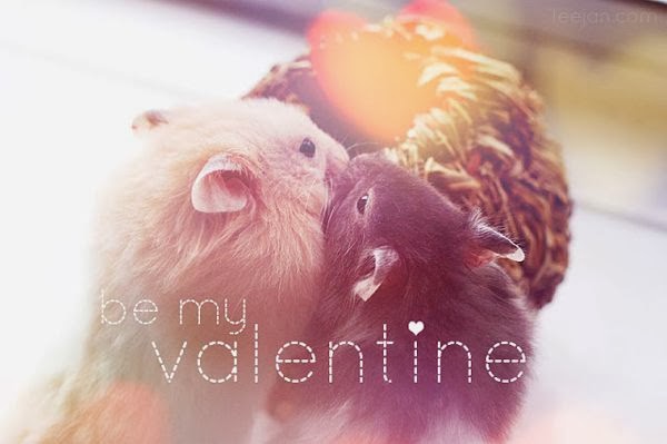 20+ Valentine Day 2014 Special Photos for your Loved one 20+ Valentine Day 2014 Special Photos for your Loved one