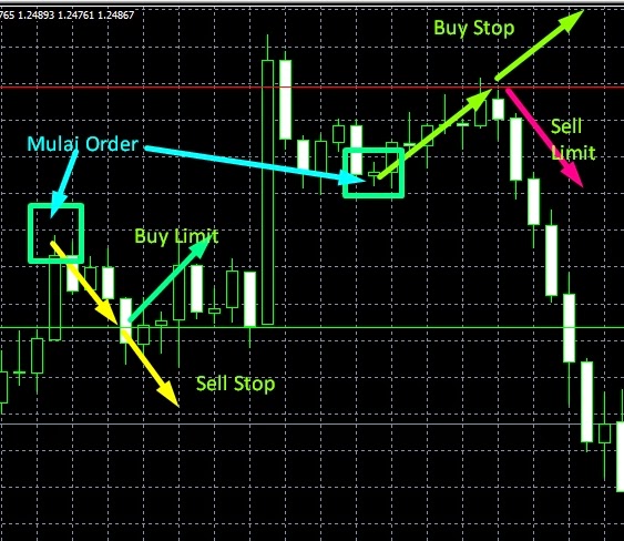 cara main forex demo