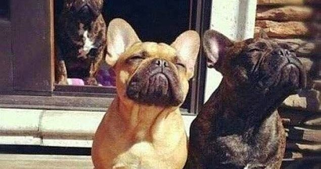 Kameralı Sohbet Arkadaşlık Siteleri Ücretsiz Görüntülü Sohbet