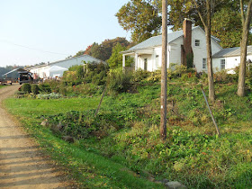 Plumrun Creek The Rural Society Antique And Garden Show