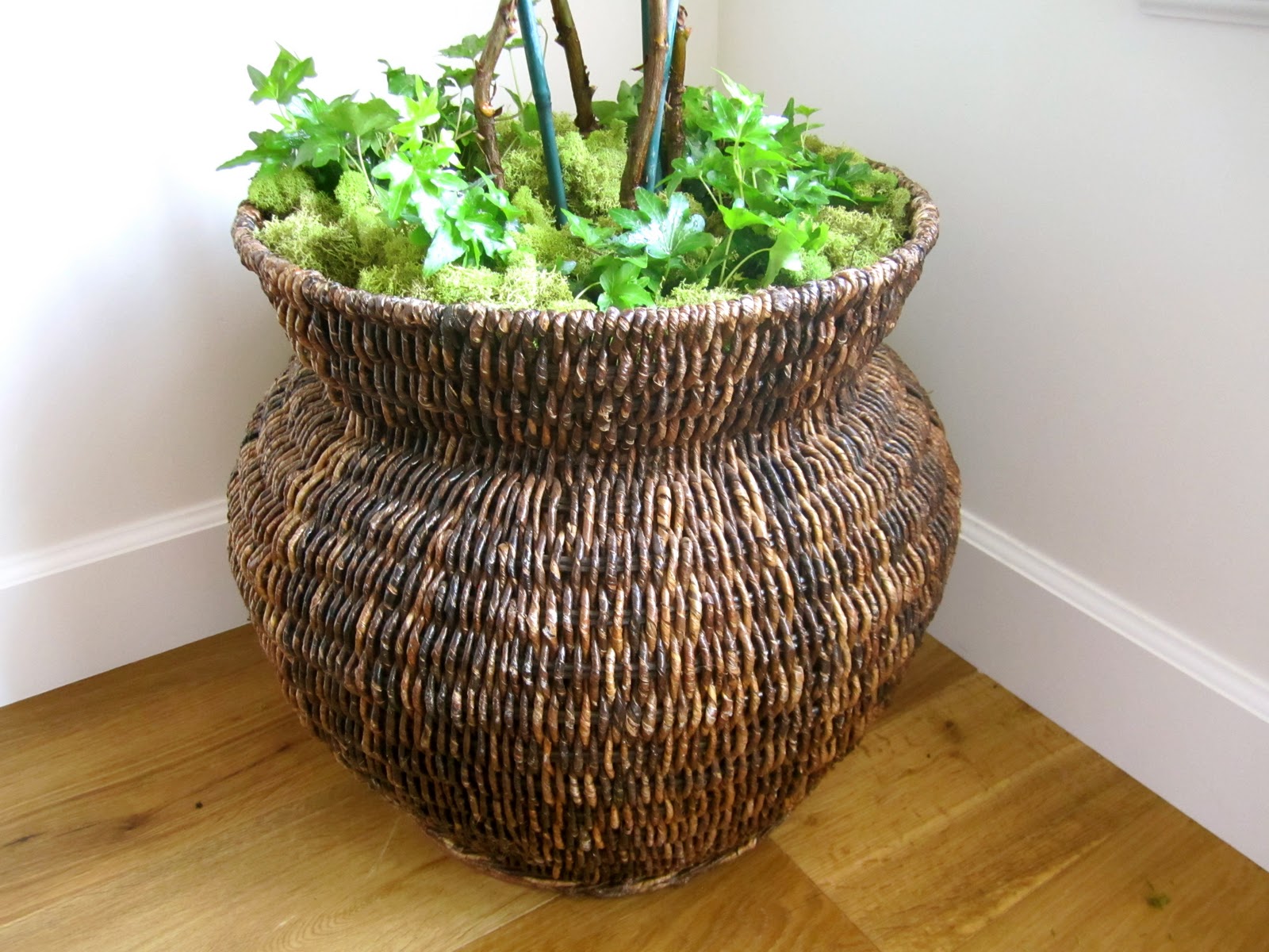 classic • casual • home Real vs Artificial House Plants