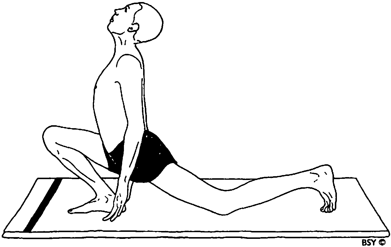 Ashwa Sanchalanasana (Equestrian pose)
