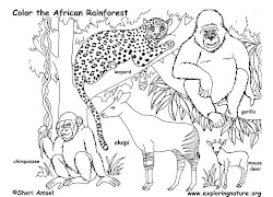 Animaux De La Savane A Colorier / Lions, éléphants et autres girafes ne
sont pas les seuls habitants de la savane.