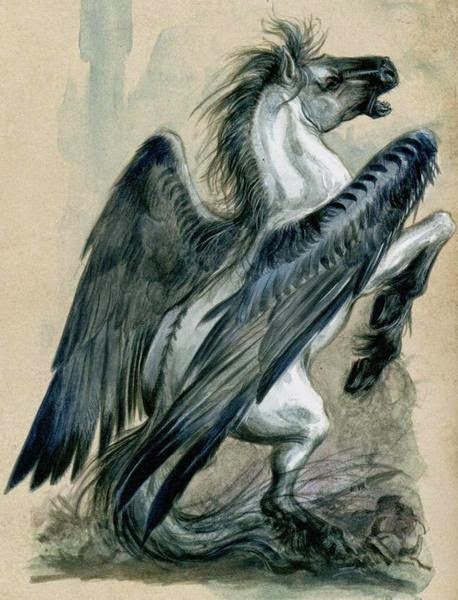 El grimorio de bestias Arion