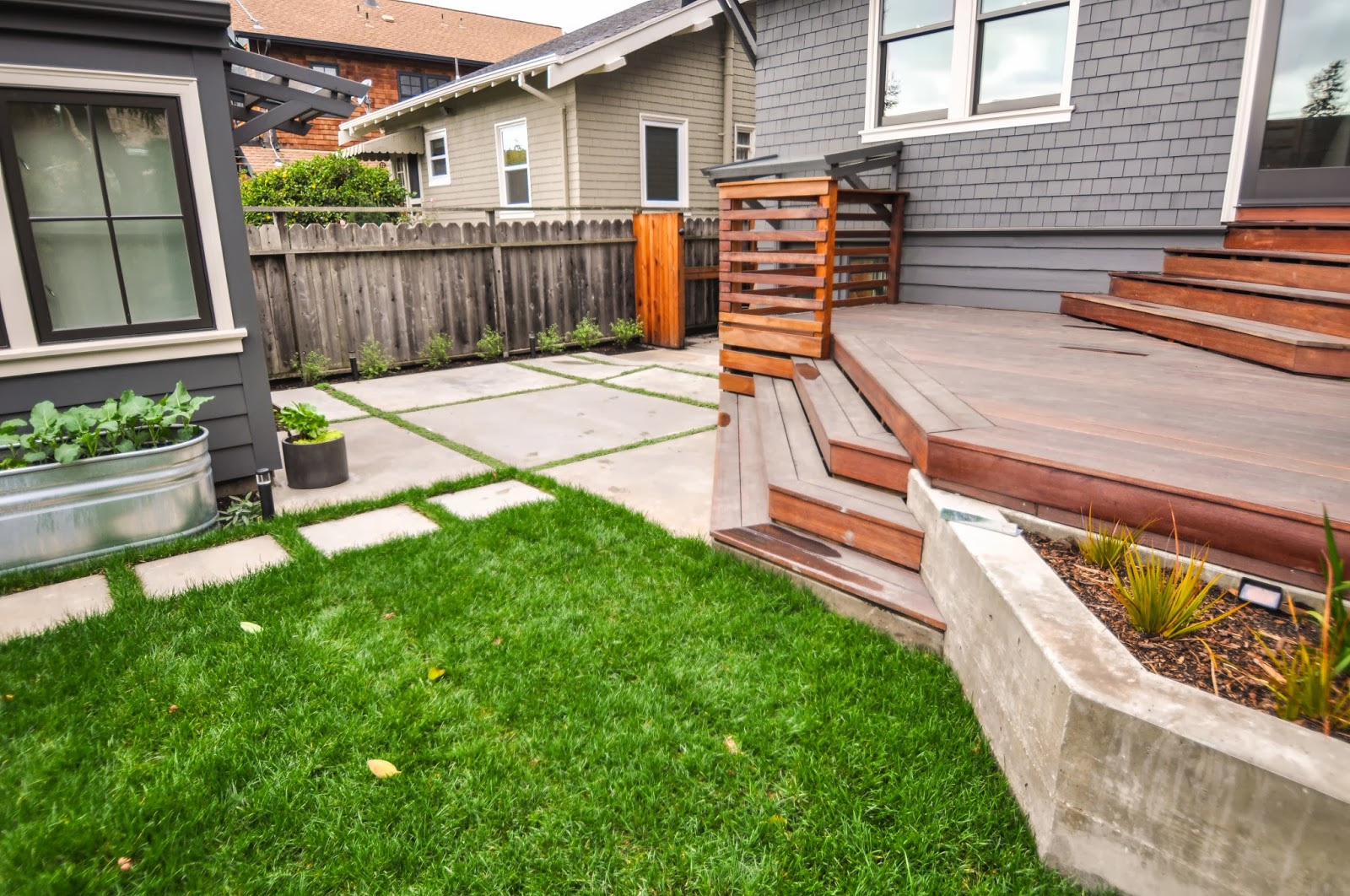 Fiddlehead Gardens: Kales Ave