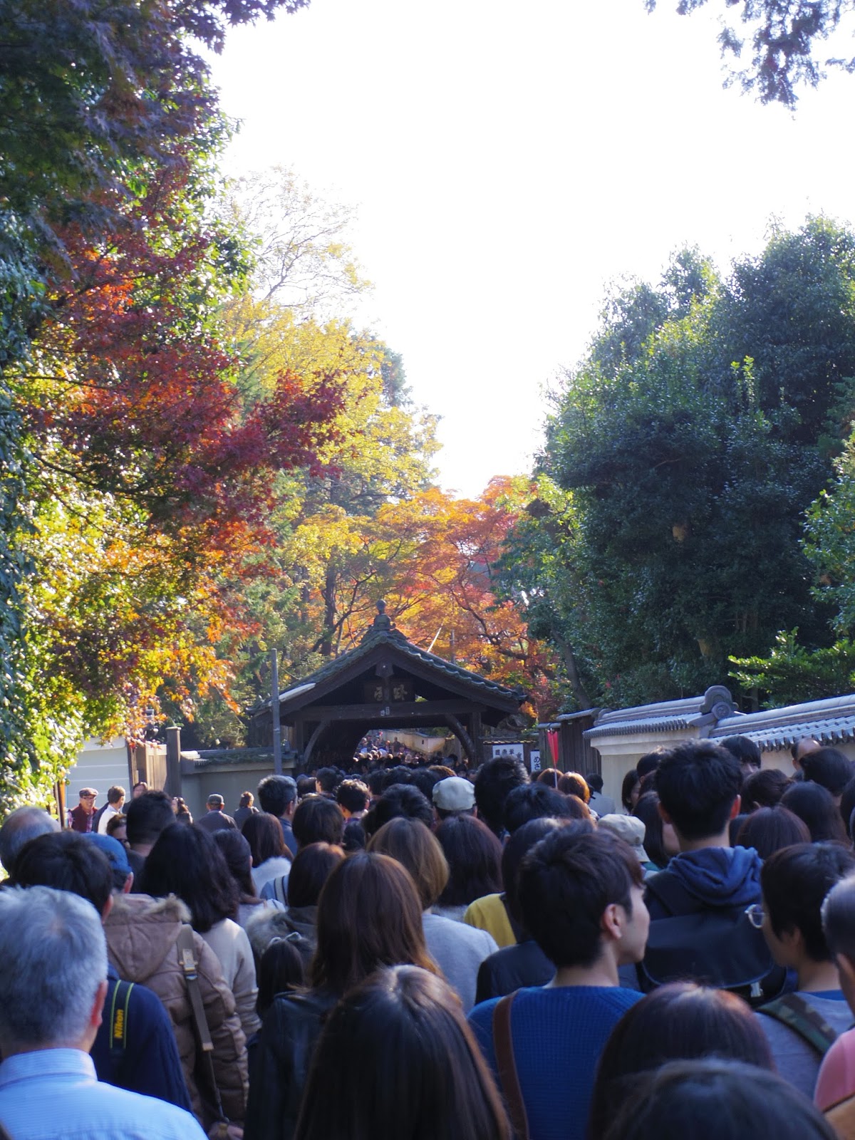 柒壹零 14京都賞楓之東福寺