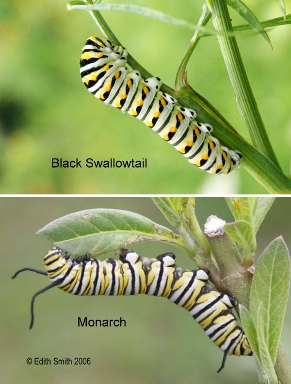 September is a Busy Month for Gardeners!