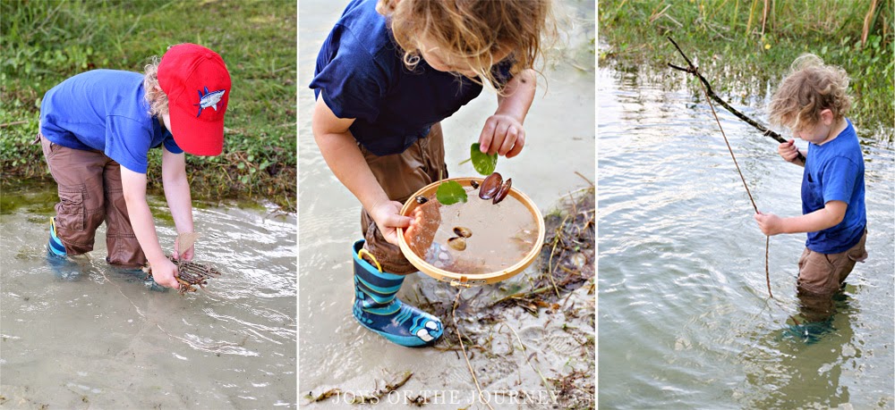 Exploring the Pond: Simple Activities for Pond Play {Guest Post