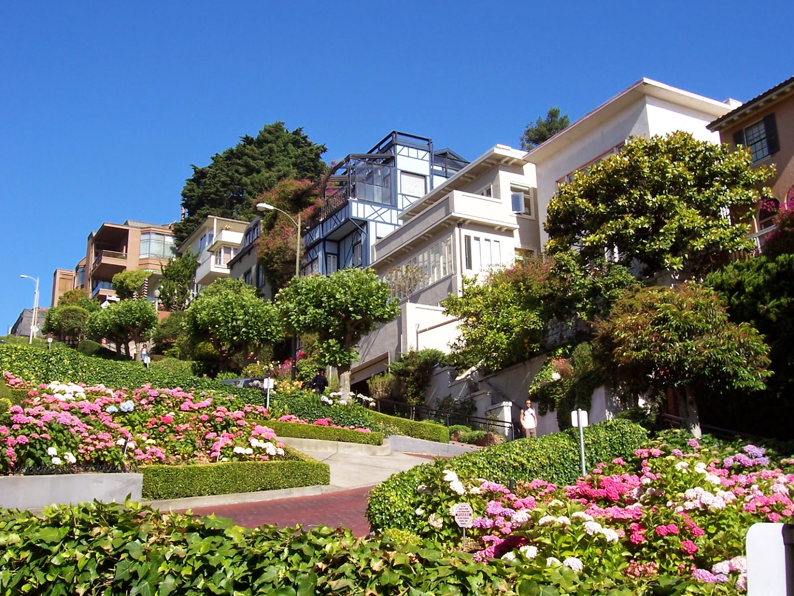 His and Her Hobbies His and Her Travel Review Lombard Street, San