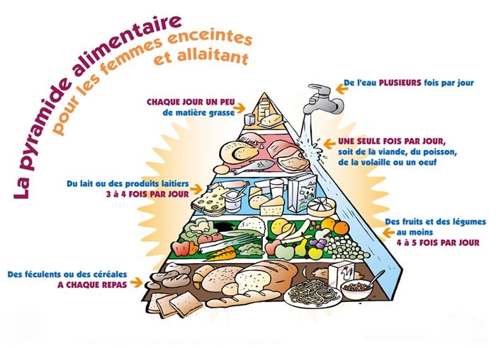 menu femme enceinte premier trimestre menu femme enceinte premier trimestre
