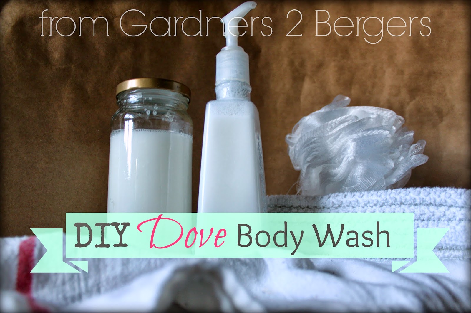 from Gardners 2 Bergers DIY Dove Body Wash