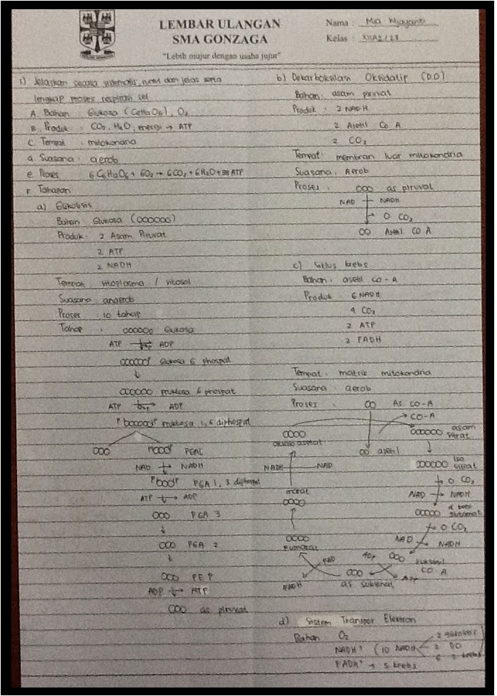 Jawaban Soal Metabolisme Sel Materi Dan Soal Biologi
