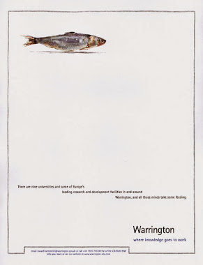 English Partnerships promotional campaign for Warrington
