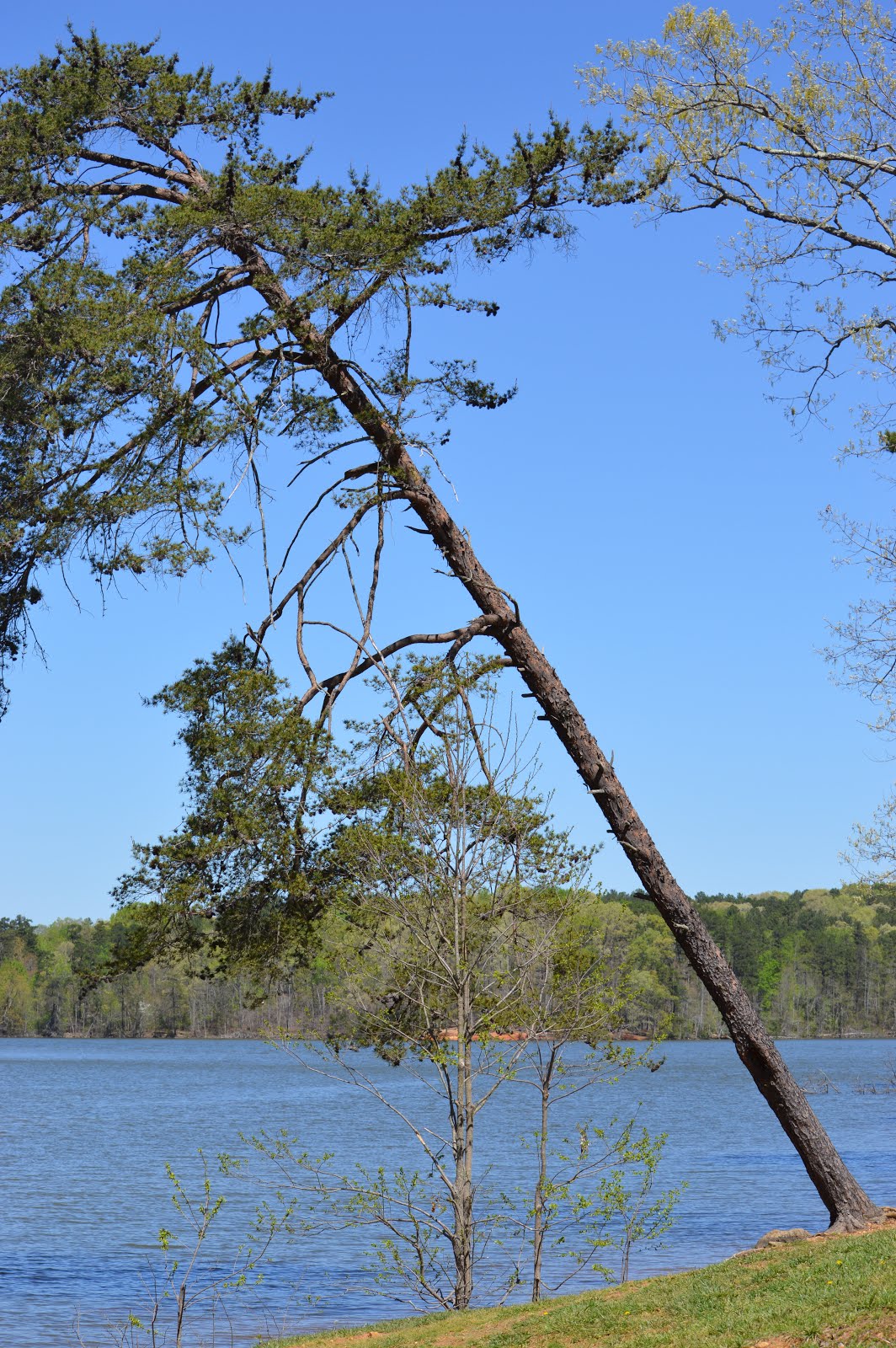 Badin Lake