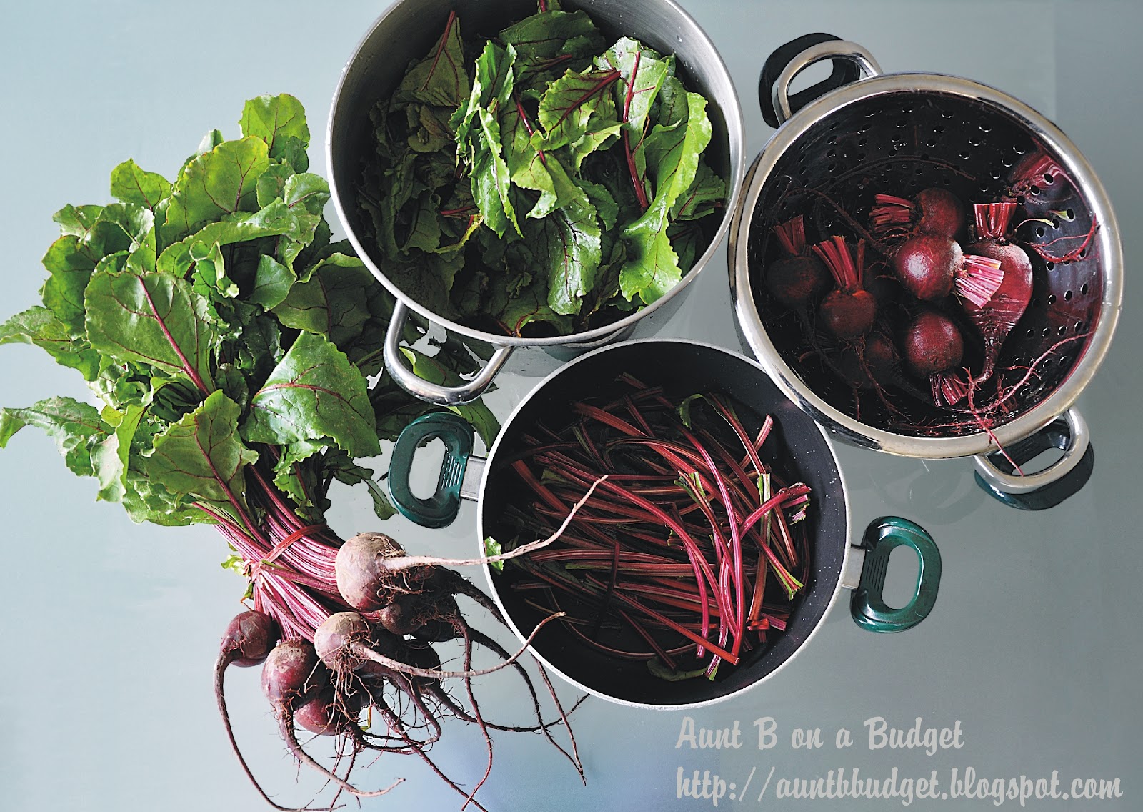 Aunt B on a Budget Poached Eggs and Beet Greens