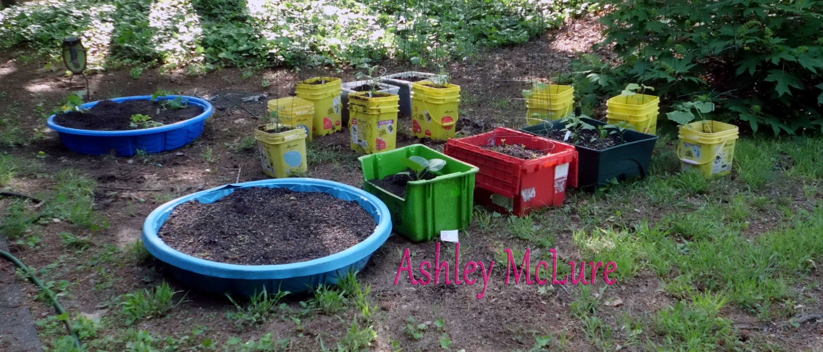 Ashley's Random Blog Recycled Container Garden
