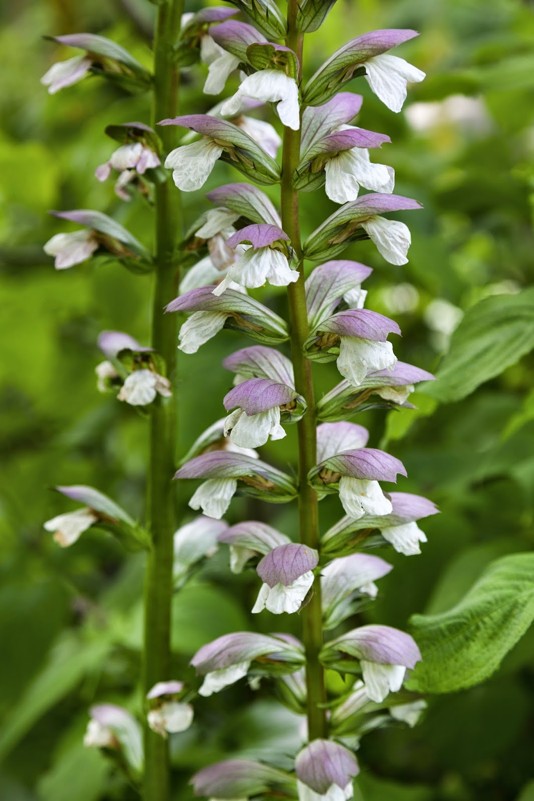 Der Museumsblog Page 3 Chan 31489545 Rssing Com