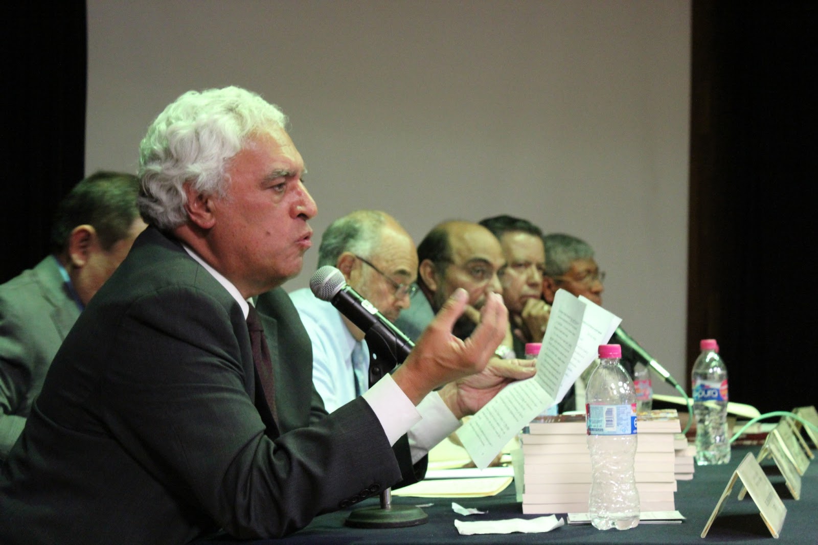 Diario Homónimo mayo 2013