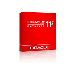 Download Installation Oracle 11G Free