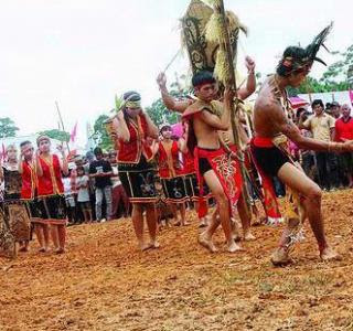 Mengenal Upacara Adat Naik Dango